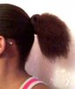 ponytail1.jpg