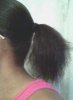 ponytail2.jpg