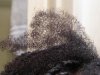 4B Hair + Curl Activator.jpg