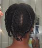 flat twist out - first attempt - back.jpg